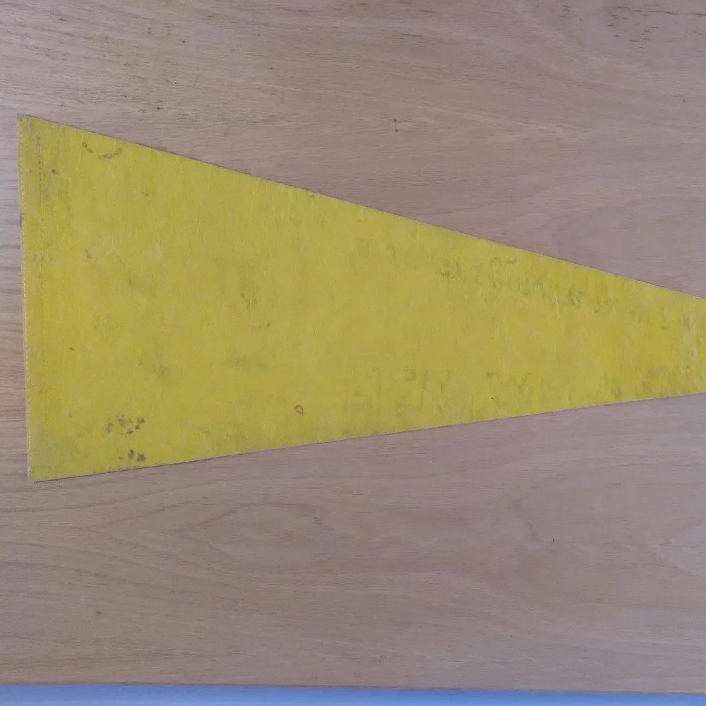 Vintage 50s 60s New Mexico State Fair Felt Pennant Flag 29